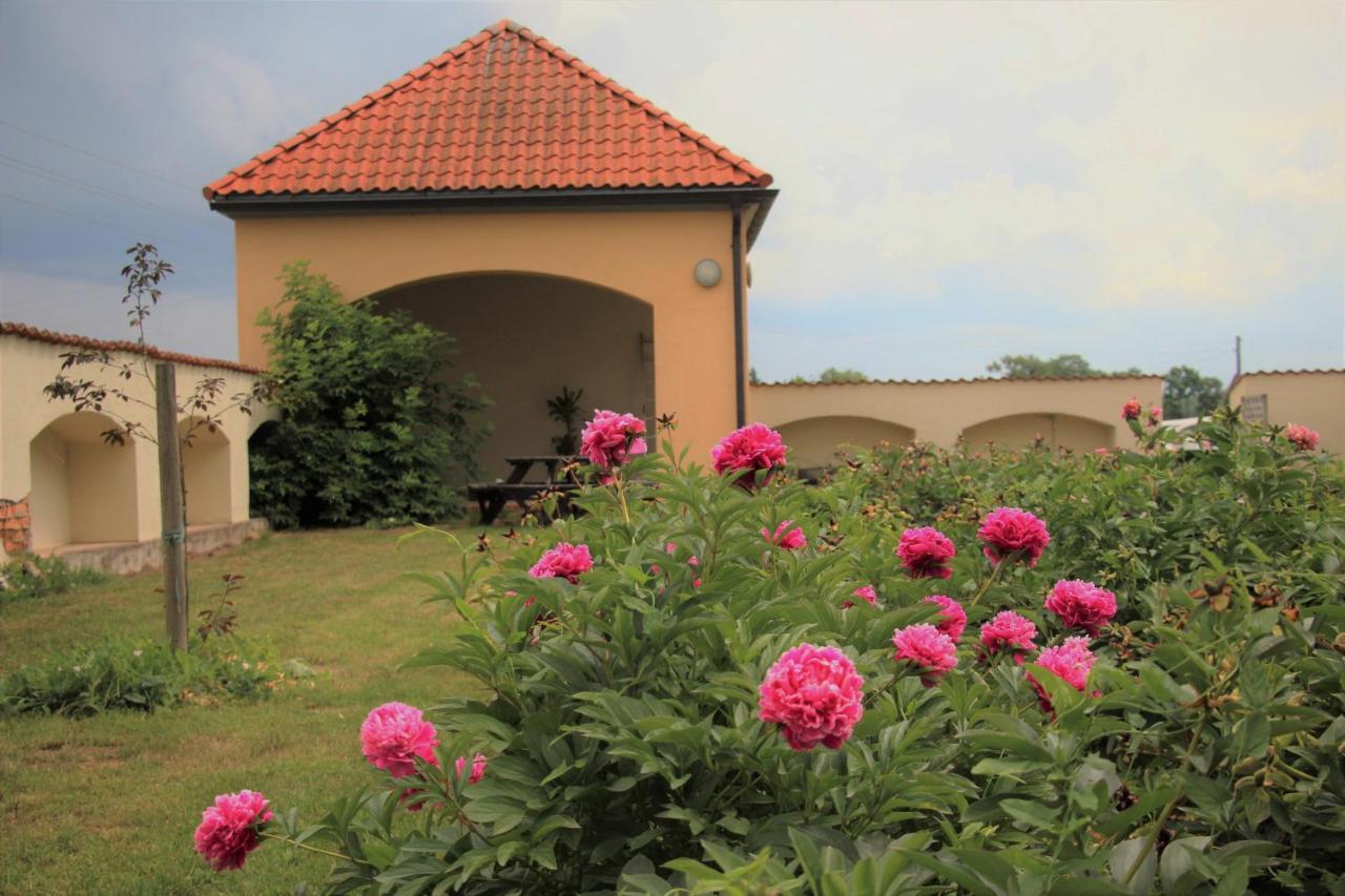 Hotel Blankenfeldes Muiza Tērvete Exterior foto
